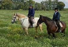 Spain-Southern Spain-Doñana Riding Adventure